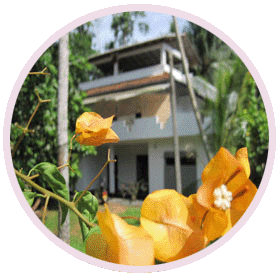 Welcome to Jungleside house