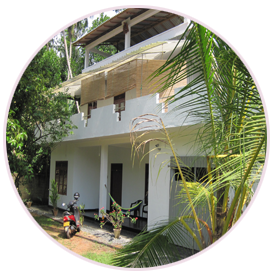 Welcome to Jungleside house