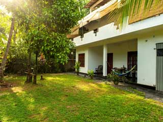 Jungle side house - Front view